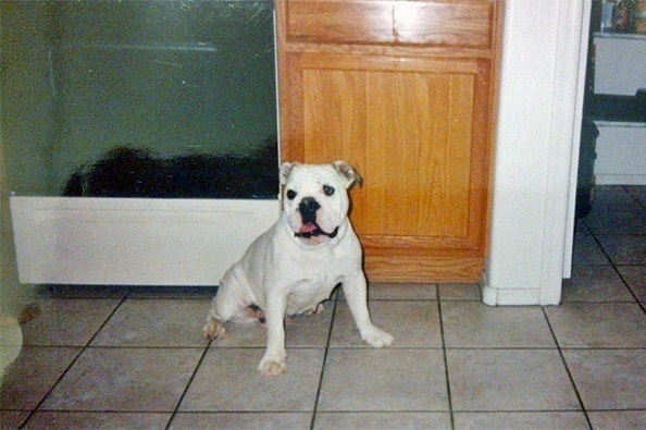 GoFundMe Campaign Photo