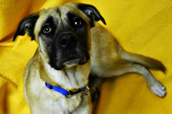 GoFundMe Campaign Photo