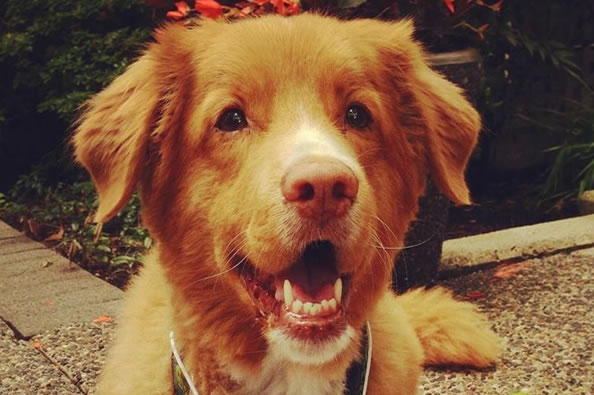 GoFundMe Campaign Photo