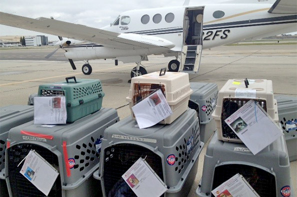 GoFundMe Campaign Photo